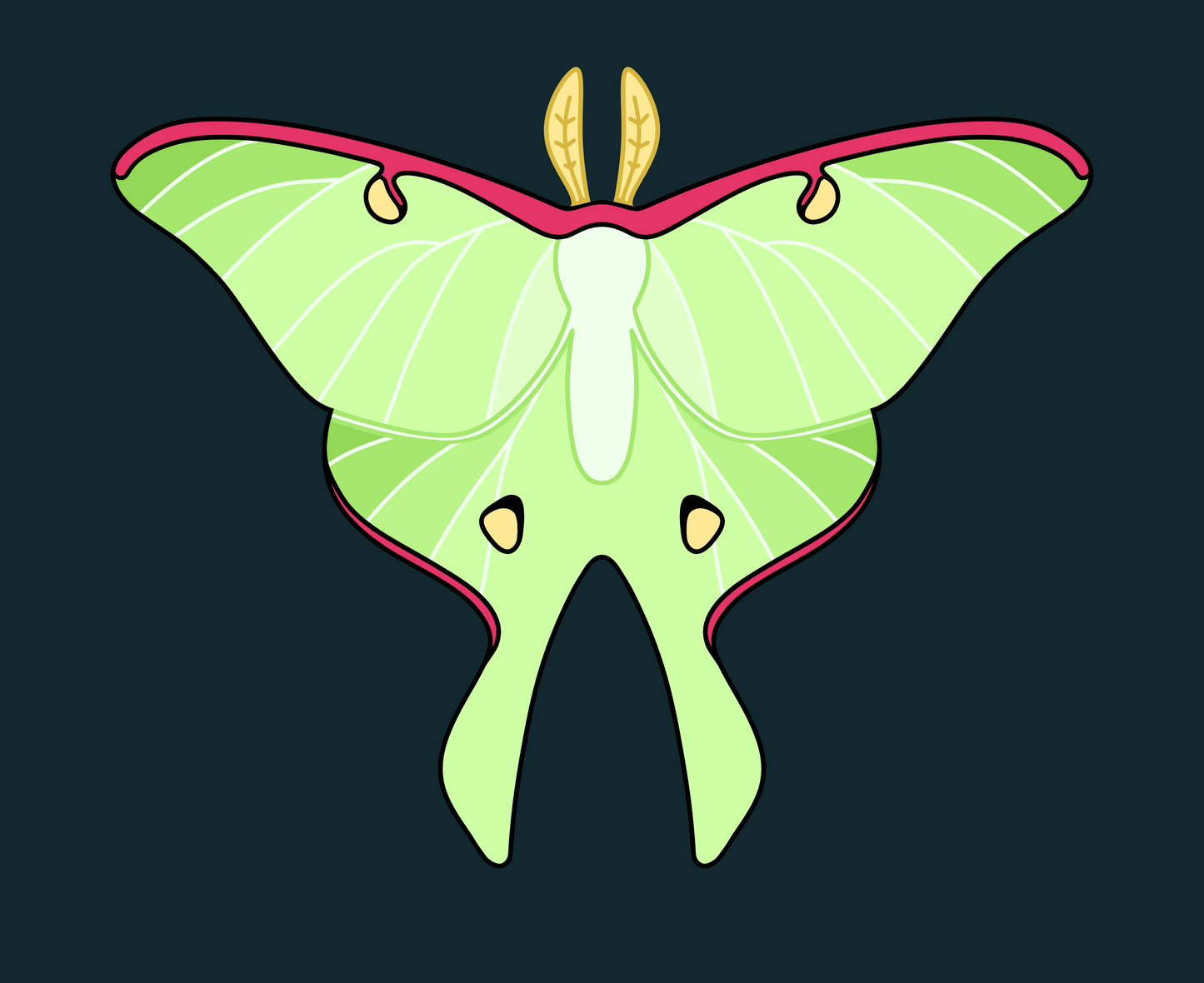 Luna Moth Decorative Throw Blanket