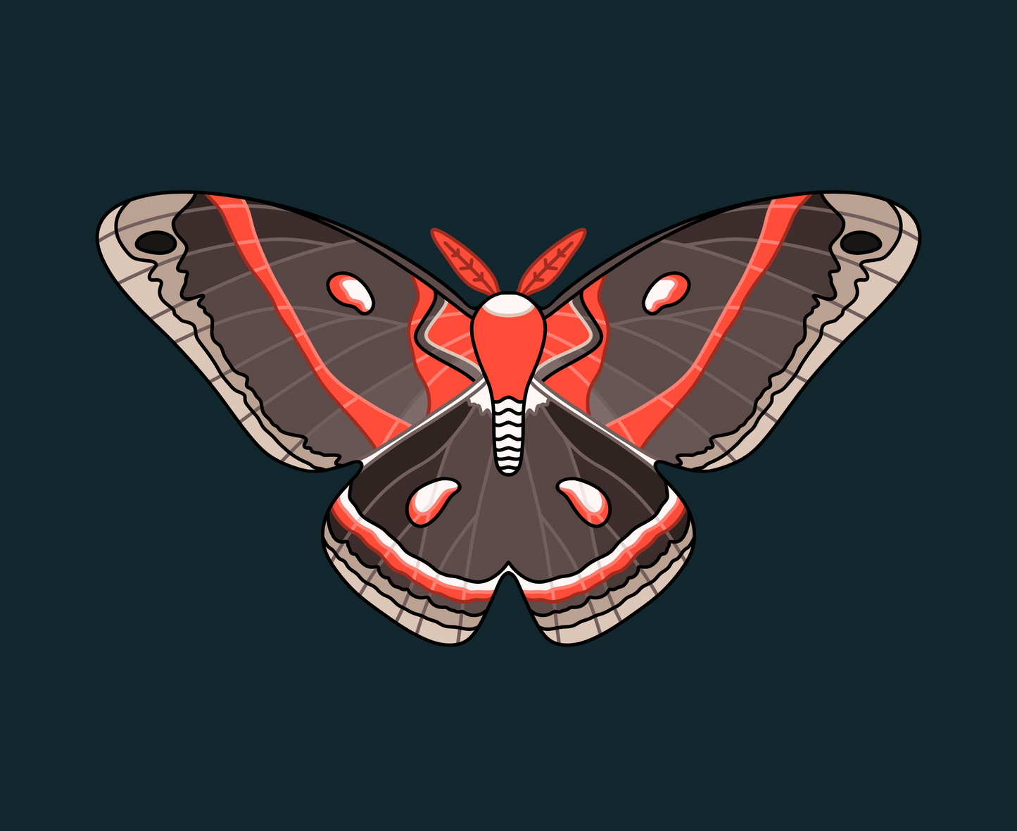 Cecropia Moth Decorative Throw Blanket