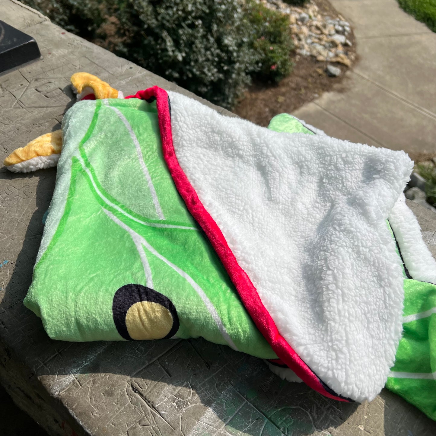 Luna Moth Decorative Throw Blanket